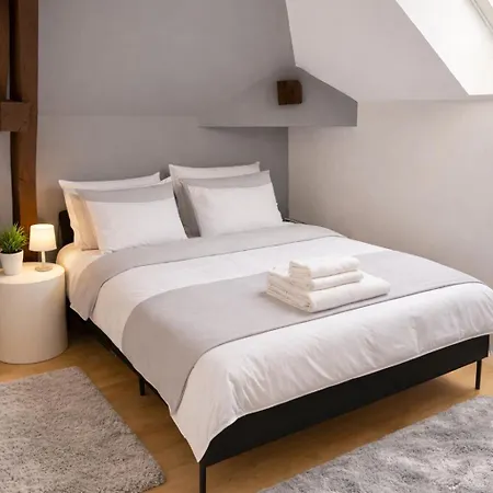 Maison Duplex De Standing Centre Wi-fi Netflix Troyes